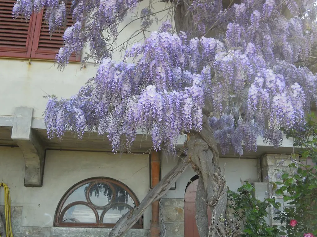 Casa di campagna Affittacamere Bel Panorama Tre Pelago